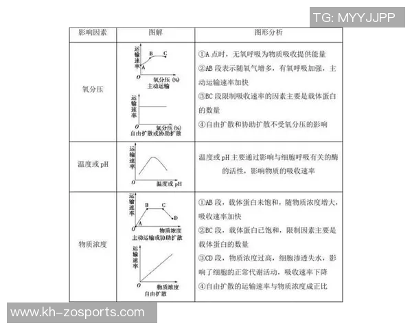 西安乒乓球队整体表现分析及其对比赛结果的影响探讨